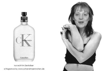 merkel im zerstoiber